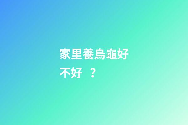 家里養烏龜好不好？